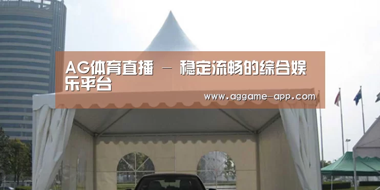 案例标题八