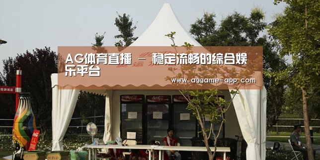 案例标题五