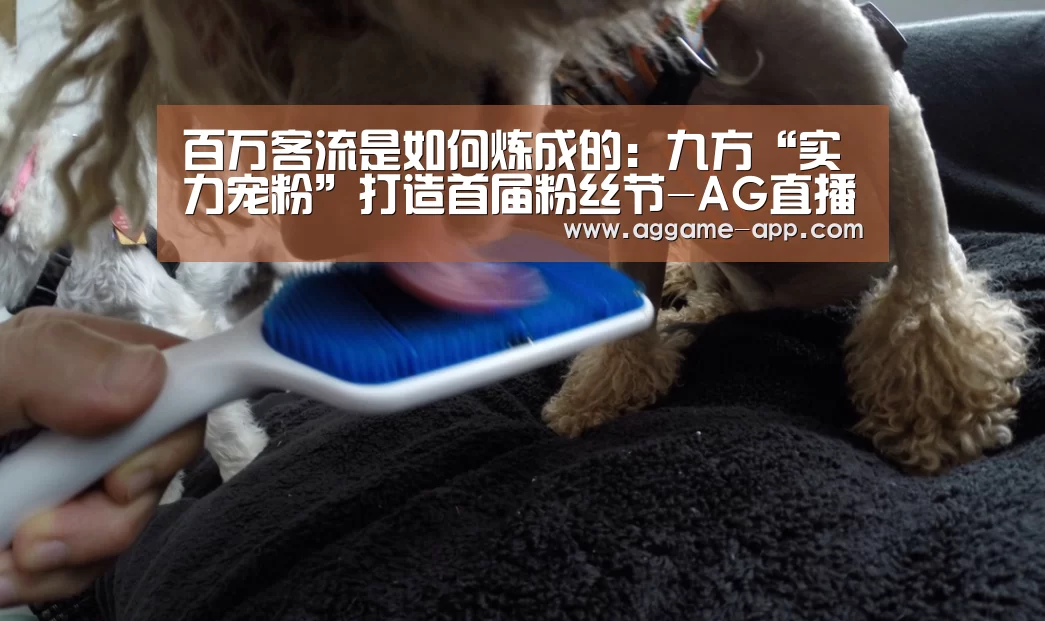 百万客流是如何炼成的:九方“实力宠粉”打造首届粉丝节-AG直播(图3) AG官方