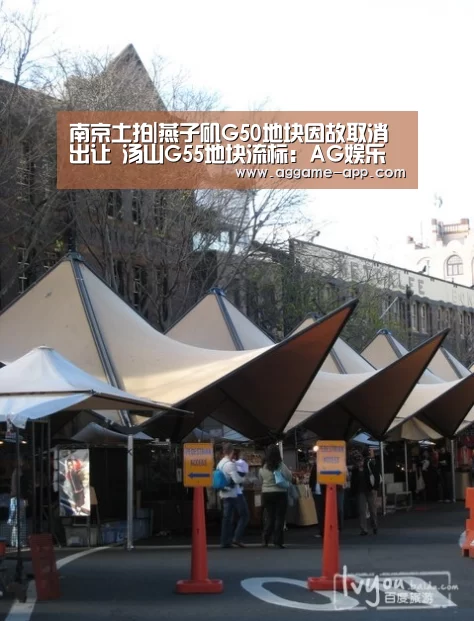 南京土拍|燕子矶G50地块因故取消出让 汤山G55地块流标:AG娱乐(图3) AG官方