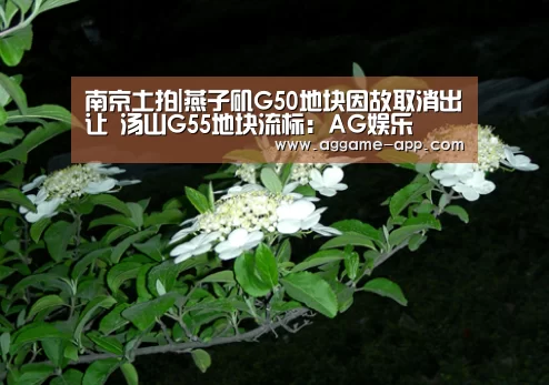 南京土拍|燕子矶G50地块因故取消出让 汤山G55地块流标:AG娱乐(图1) AG官方